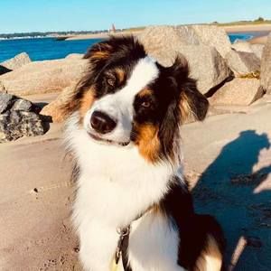 Meet your Posher, Donna